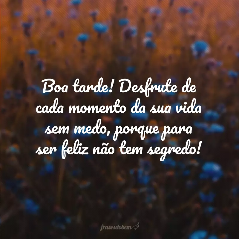 Boa tarde! Desfrute de cada momento da sua vida sem medo, porque para ser feliz não tem segredo!