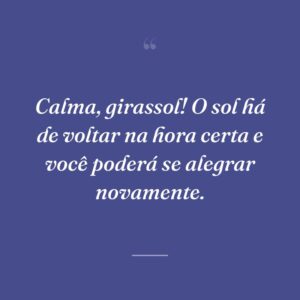 Calma, girassol! O sol há de voltar na hora certa e você poderá se alegrar novamente.