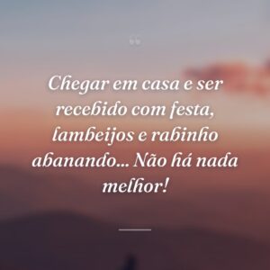 Chegar em casa e ser recebido com festa, lambeijos e rabinho abanando... Não há nada melhor!