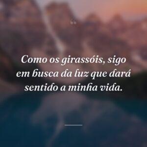 Como os girassóis, sigo em busca da luz que dará sentido a minha vida.