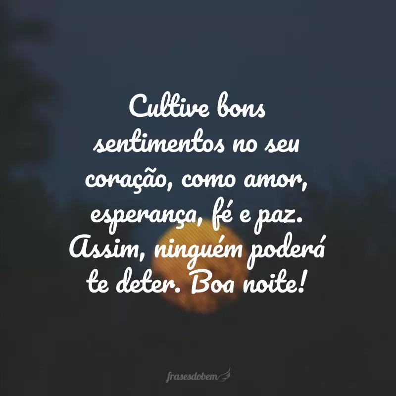 Cultive bons sentimentos no seu coração, como amor, esperança, fé e paz. Assim, ninguém poderá te deter. Boa noite!