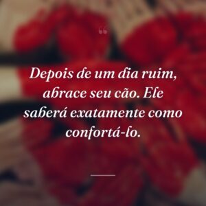 Depois de um dia ruim, abrace seu cão. Ele saberá exatamente como confortá-lo.