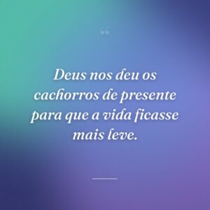 Deus nos deu os cachorros de presente para que a vida ficasse mais leve.