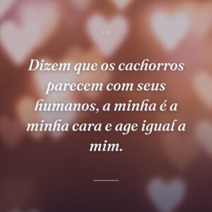 Dizem que os cachorros parecem com seus humanos, a minha é a minha cara e age igual a mim.
