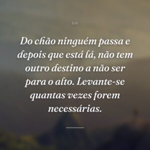 Do chão ninguém passa e depois que está lá, não tem outro destino a não ser para o alto. Levante-se quantas vezes forem necessárias.