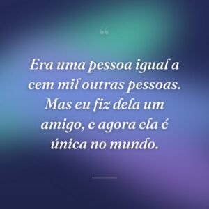 Era uma pessoa igual a cem mil outras pessoas. Mas eu fiz dela um amigo, e agora ela é única no mundo.