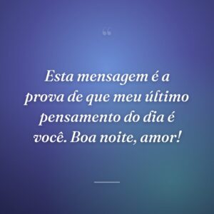Esta mensagem é a prova de que meu último pensamento do dia é você. Boa noite, amor!