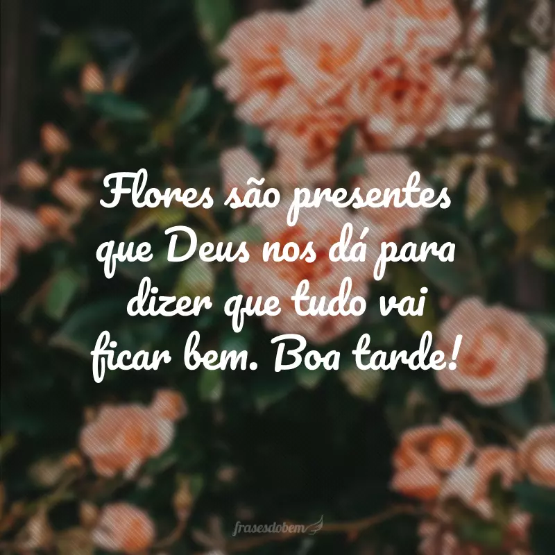 Flores são presentes que Deus nos dá para dizer que tudo vai ficar bem. Boa tarde!