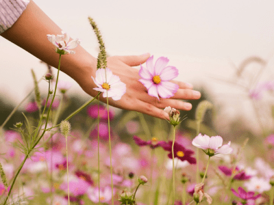 60 frases de boa tarde com flores para colorir e perfumar seu dia