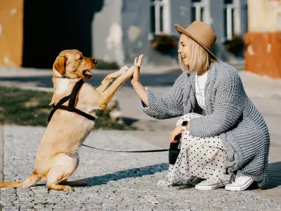 50 frases de carinho e amizade que valorizam esse laço tão lindo