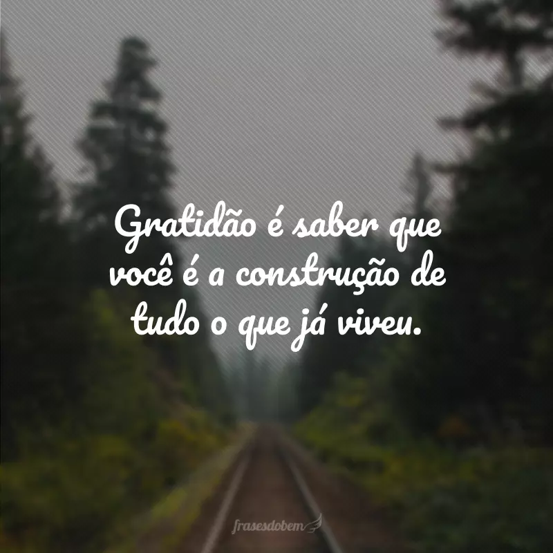 Gratidão é saber que você é a construção de tudo o que já viveu.