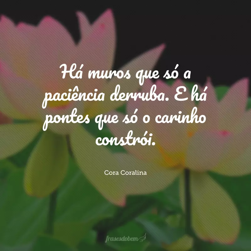 Há muros que só a paciência derruba. E há pontes que só o carinho constrói.