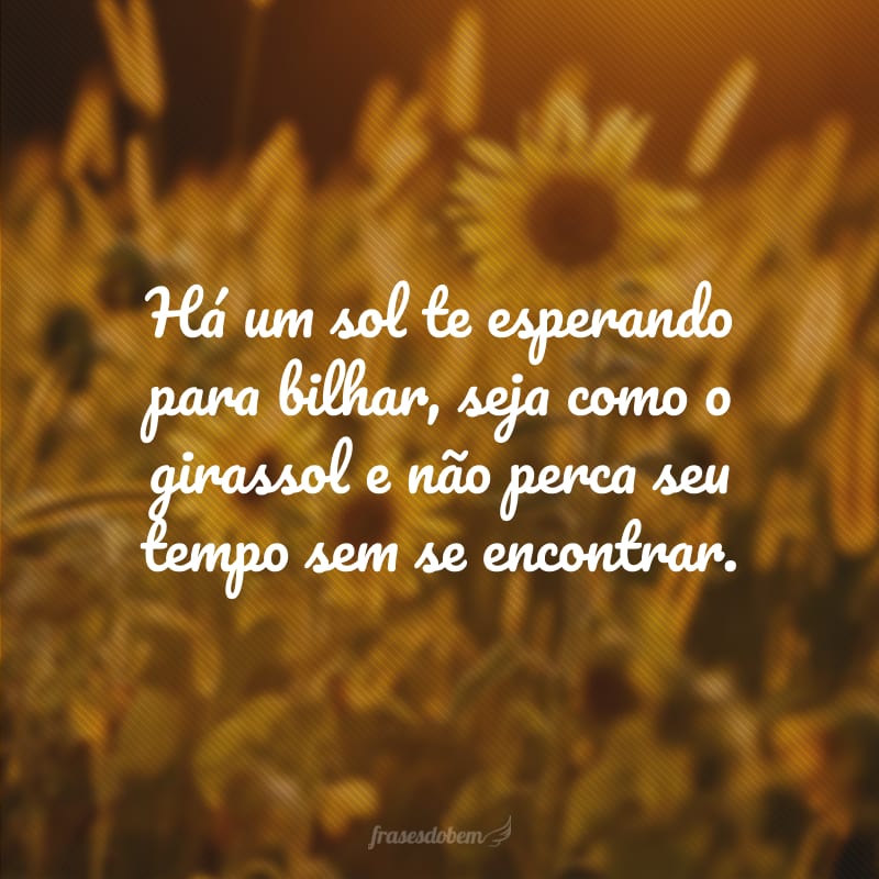 Há um sol te esperando para bilhar, seja como o girassol e não perca seu tempo sem se encontrar.