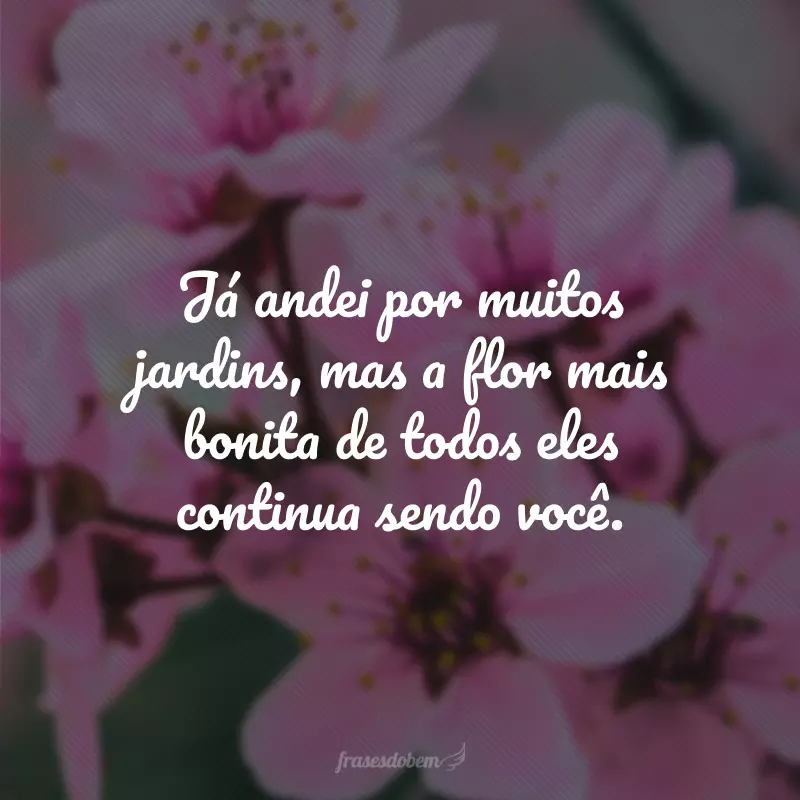 Já andei por muitos jardins, mas a flor mais bonita de todos eles continua sendo você.