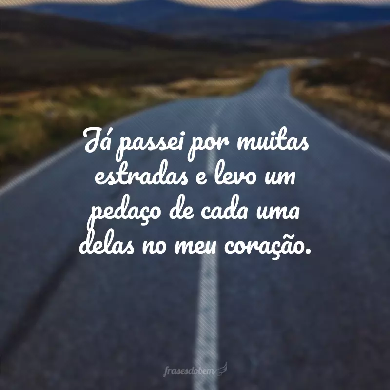 frases da estrada