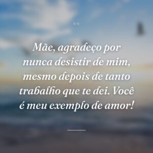 Mãe, agradeço por nunca desistir de mim, mesmo depois de tanto trabalho que te dei. Você é meu exemplo de amor!