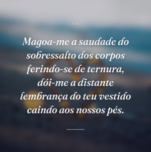 Magoa-me a saudade do sobressalto dos corpos ferindo-se de ternura, dói-me a distante lembrança do teu vestido caindo aos nossos pés.