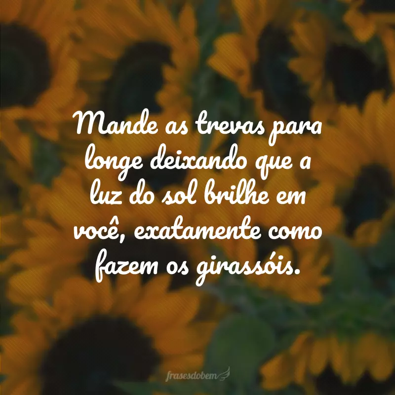 Mande as trevas para longe deixando que a luz do sol brilhe em você, exatamente como fazem os girassóis.