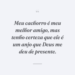 Meu cachorro é meu melhor amigo, mas tenho certeza que ele é um anjo que Deus me deu de presente.