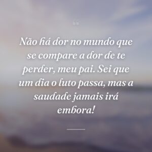 Não há dor no mundo que se compare a dor de te perder, meu pai. Sei que um dia o luto passa, mas a saudade jamais irá embora!