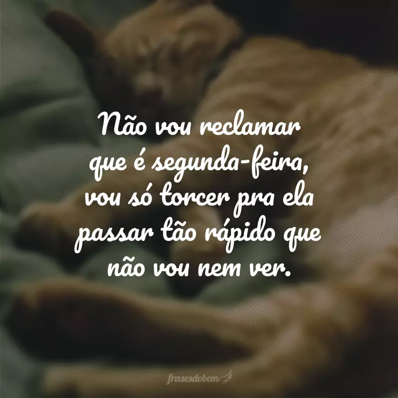 Não vou reclamar que é segunda-feira, vou só torcer pra ela passar tão rápido que não vou nem ver.
