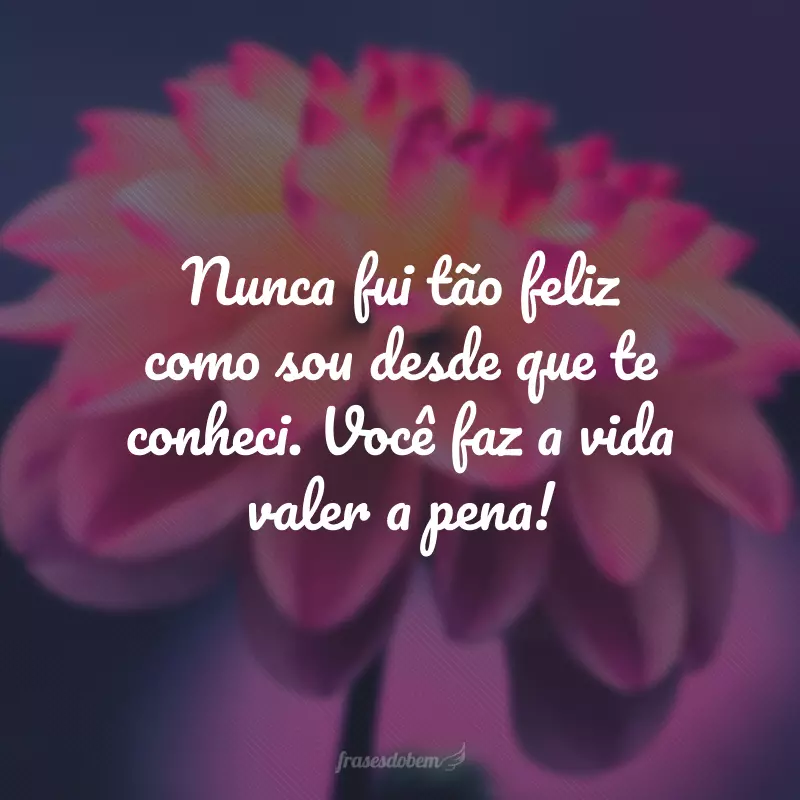 Nunca fui tão feliz como sou desde que te conheci. Você faz a vida valer a pena!