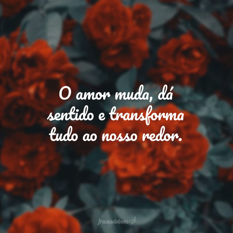 O amor muda, dá sentido e transforma tudo ao nosso redor.