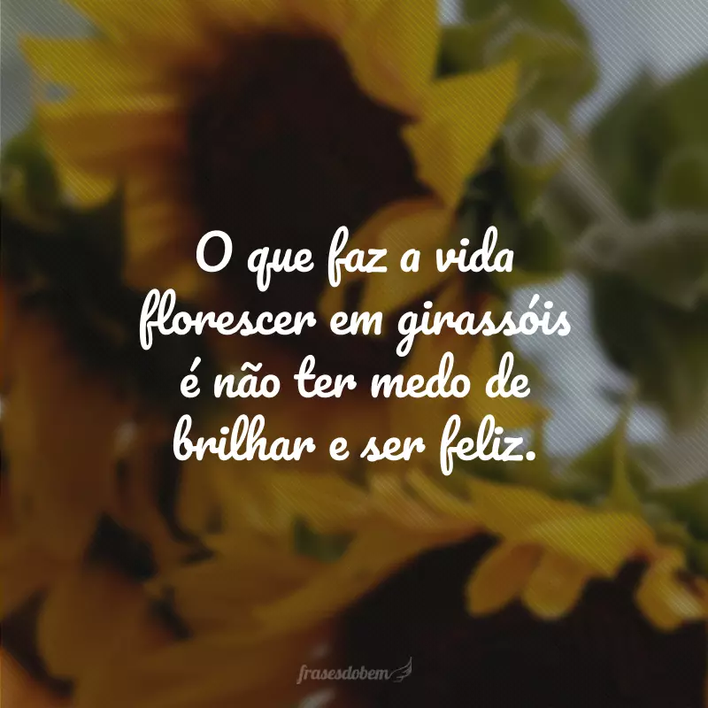 O que faz a vida florescer em girassóis é não ter medo de brilhar e ser feliz.