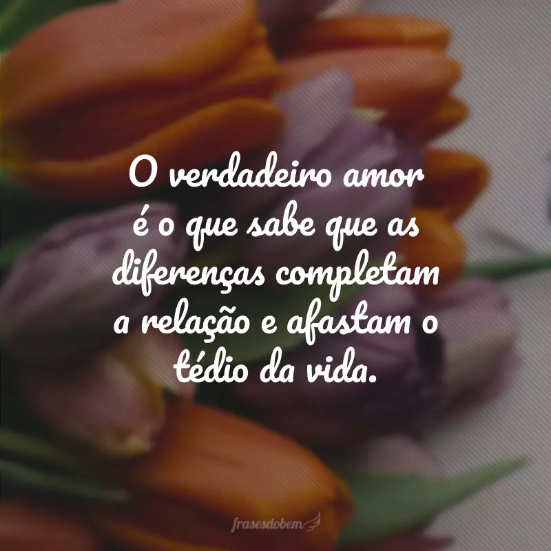 O verdadeiro amor é o que sabe que as diferenças completam a relação e afastam o tédio da vida.