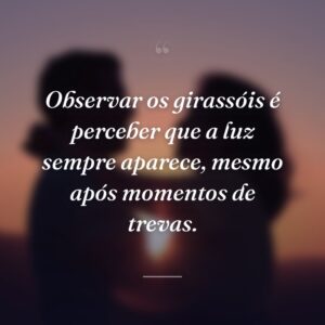 Observar os girassóis é perceber que a luz sempre aparece, mesmo após momentos de trevas.