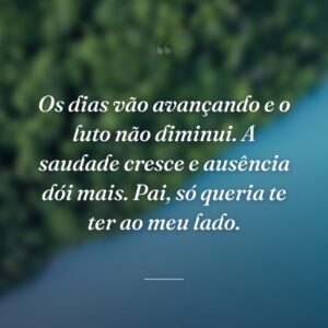 Os dias vão avançando e o luto não diminui. A saudade cresce e ausência dói mais. Pai, só queria te ter ao meu lado.