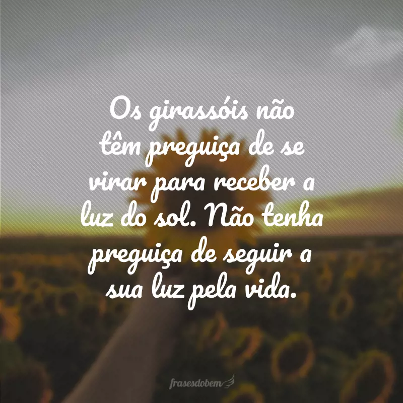 Os girassóis não têm preguiça de se virar para receber a luz do sol. Não tenha preguiça de seguir a sua luz pela vida.