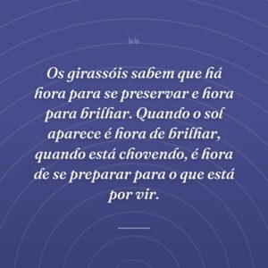 Os girassóis sabem que há hora para se preservar e hora para brilhar. Quando o sol aparece é hora de brilhar, quando está chovendo, é hora de se preparar para o que está por vir.
