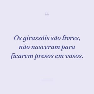 Os girassóis são livres, não nasceram para ficarem presos em vasos.