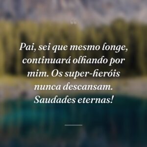 Pai, sei que mesmo longe, continuará olhando por mim. Os super-heróis nunca descansam. Saudades eternas!