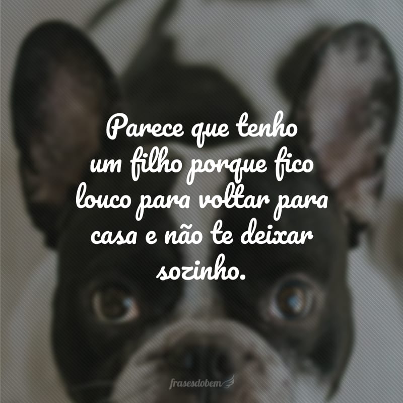 Parece que tenho um filho porque fico louco para voltar para casa e não te deixar sozinho.