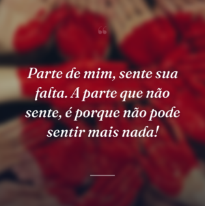 Parte de mim, sente sua falta. A parte que não sente, é porque não pode sentir mais nada!