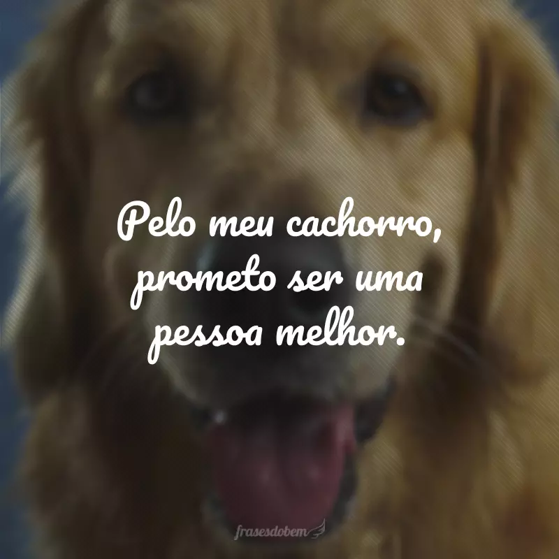 Pelo meu cachorro, prometo ser uma pessoa melhor.