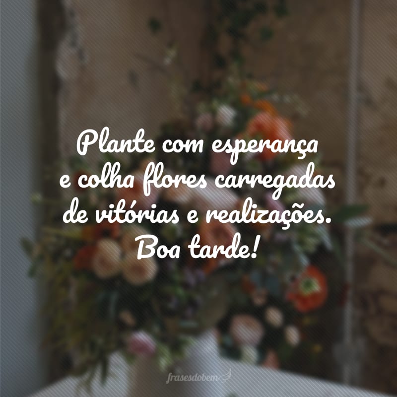 Plante com esperança e colha flores carregadas de vitórias e realizações. Boa tarde!