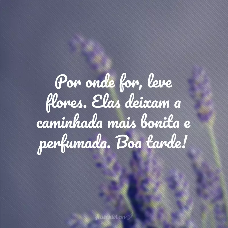 Por onde for, leve flores. Elas deixam a caminhada mais bonita e perfumada. Boa tarde!