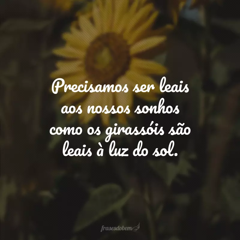 Precisamos ser leais aos nossos sonhos como os girassóis são leais à luz do sol.