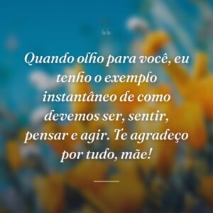 Quando olho para você, eu tenho o exemplo instantâneo de como devemos ser, sentir, pensar e agir. Te agradeço por tudo, mãe!
