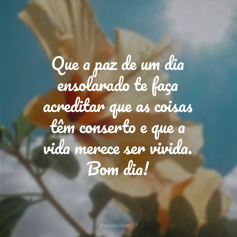 Que a paz de um dia ensolarado te faça acreditar que as coisas têm conserto e que a vida merece ser vivida. Bom dia!