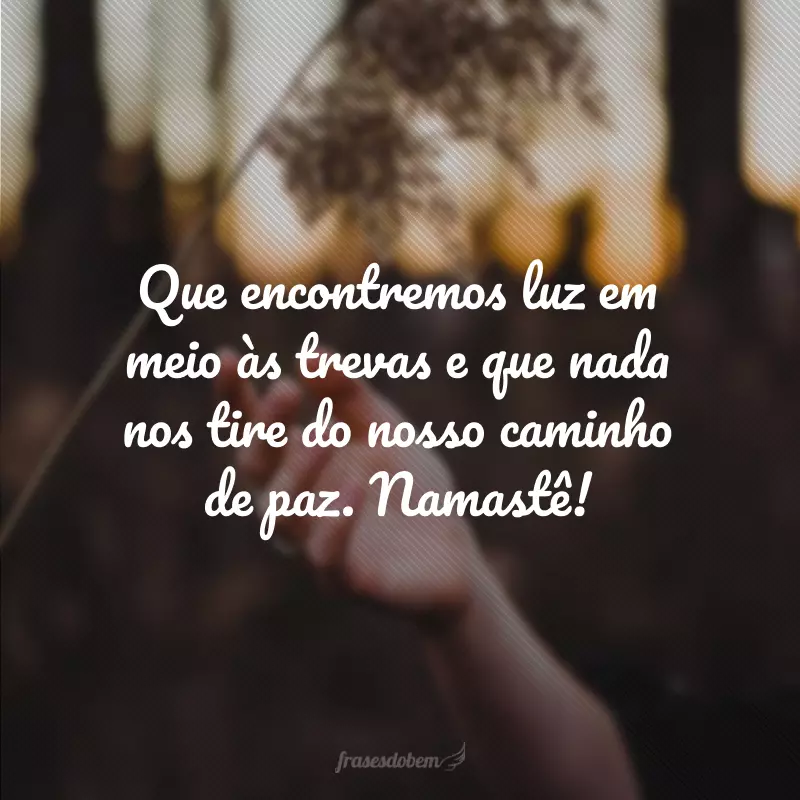 Que encontremos luz em meio às trevas e que nada nos tire do nosso caminho de paz. Namastê!