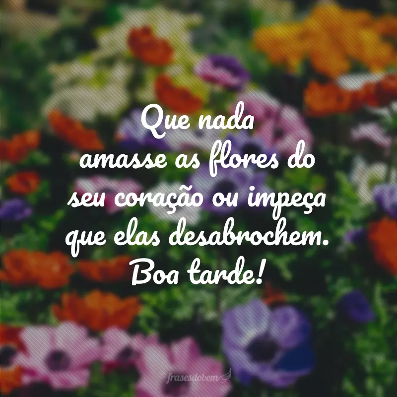 Que nada amasse as flores do seu coração ou impeça que elas desabrochem. Boa tarde!