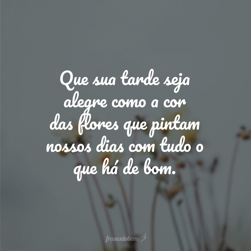 Que sua tarde seja alegre como a cor das flores que pintam nossos dias com tudo o que há de bom.