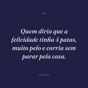 Quem diria que a felicidade tinha 4 patas, muito pelo e corria sem parar pela casa.