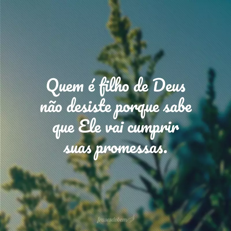 Quem é filho de Deus não desiste porque sabe que Ele vai cumprir suas promessas.