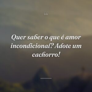 Quer saber o que é amor incondicional? Adote um cachorro!
