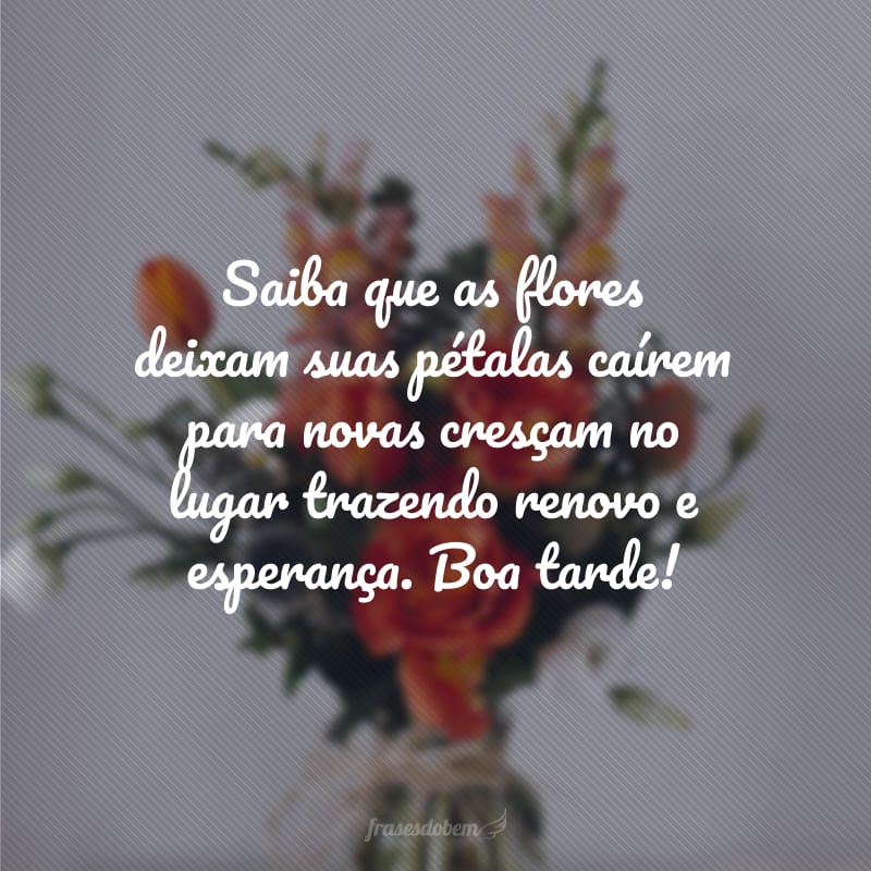 Saiba que as flores deixam suas pétalas caírem para novas cresçam no lugar trazendo renovo e esperança. Boa tarde!